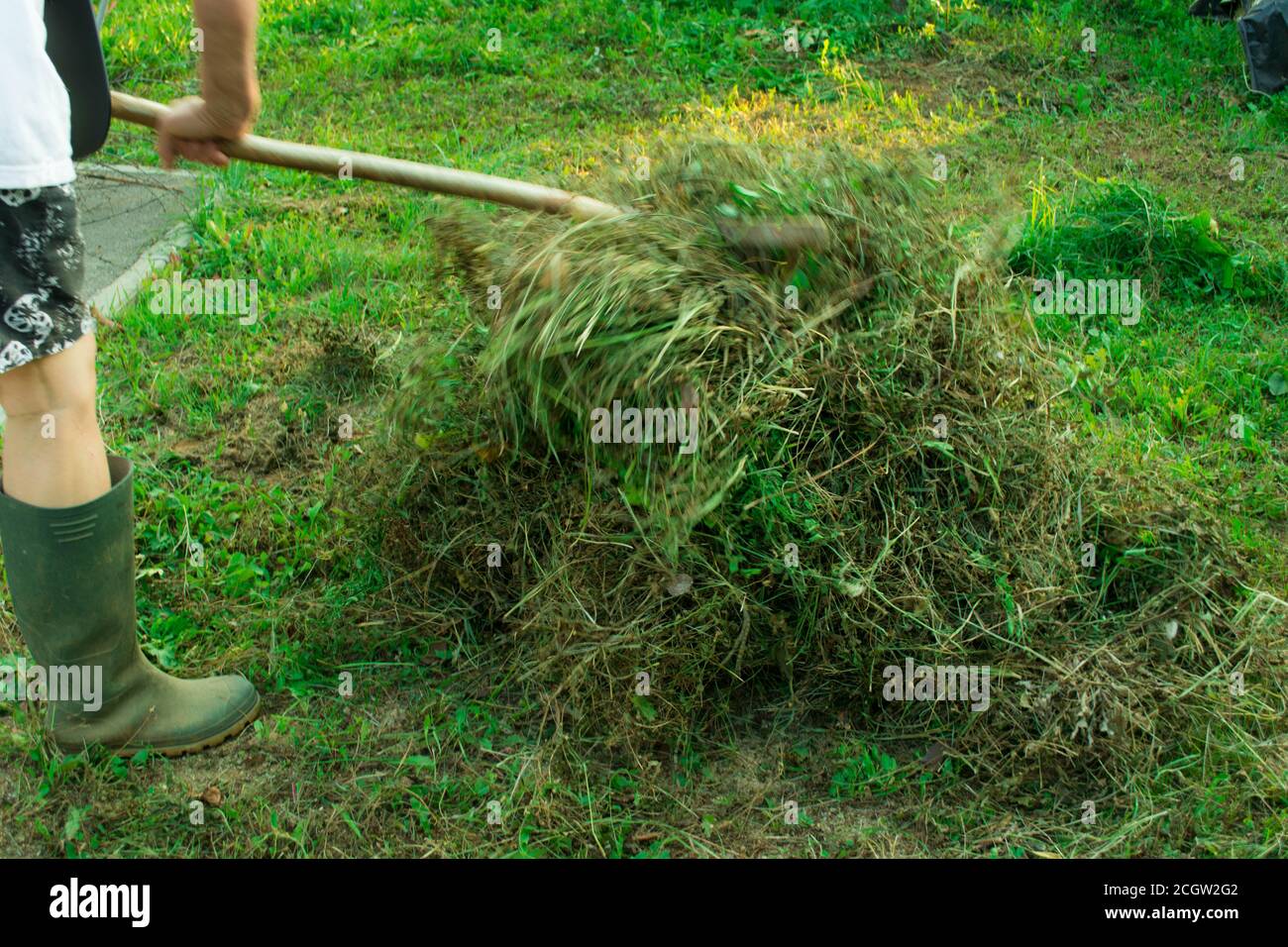 Collecting grass, cutting gras, lawn, collecting clippings Stock Photo Alamy