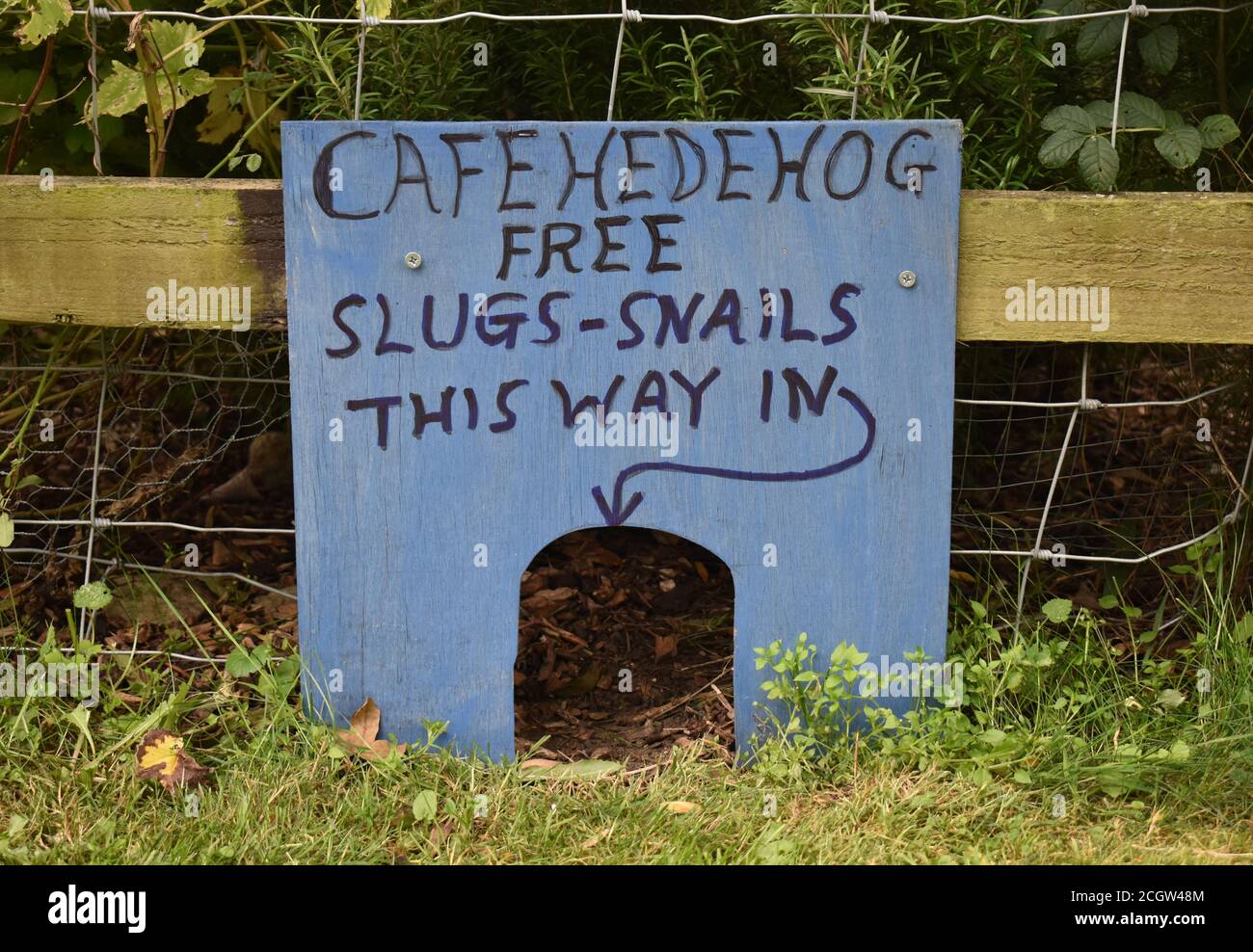 Whimsical 'Café Hedgehog' sign at Bradwell Abbey, Milton Keynes. Stock Photo