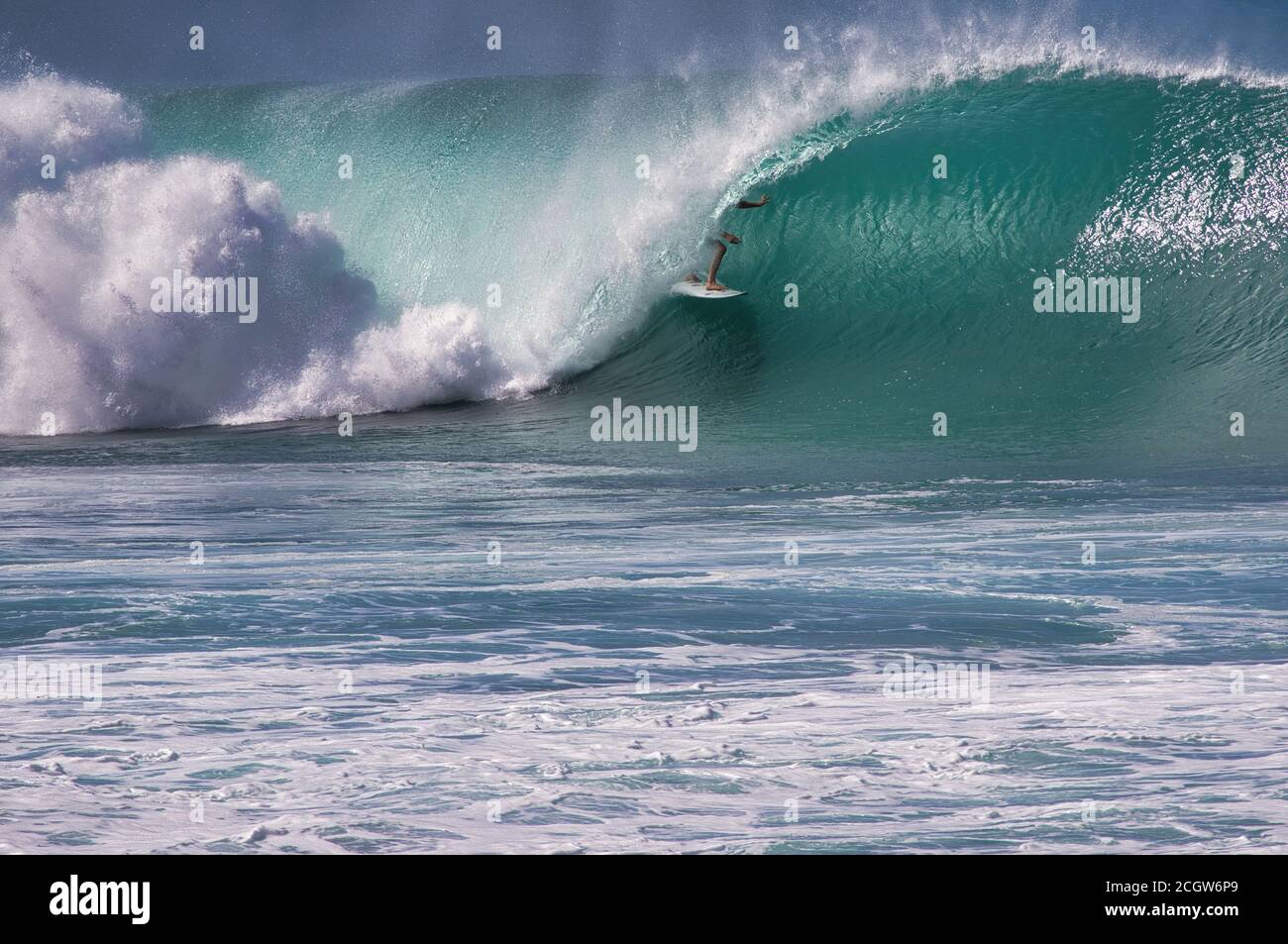 Surfer not quite hidden in the curl of a massive north shore oahu wave. Stock Photo