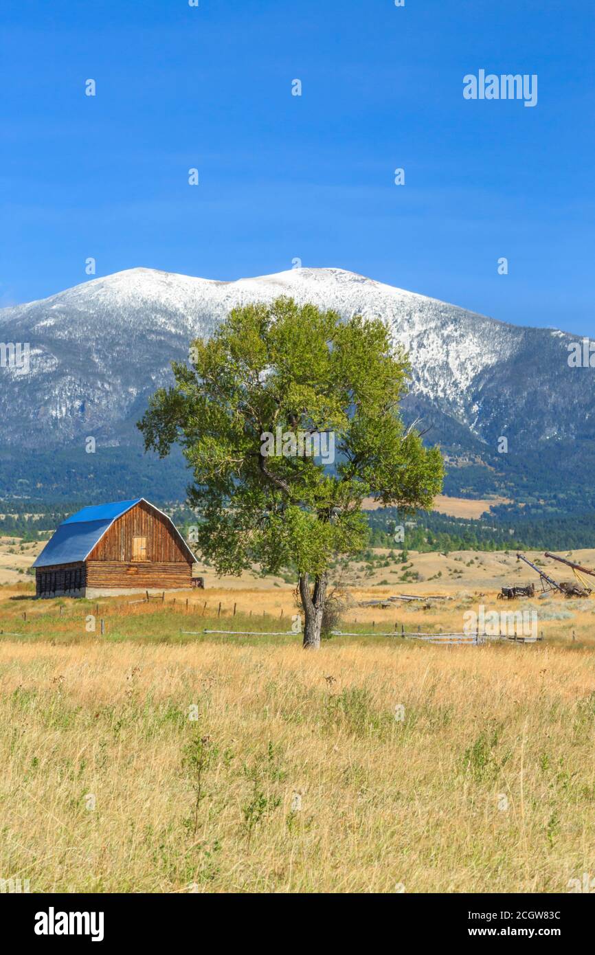 barn below mount baldy near townsend, montana Stock Photo Alamy