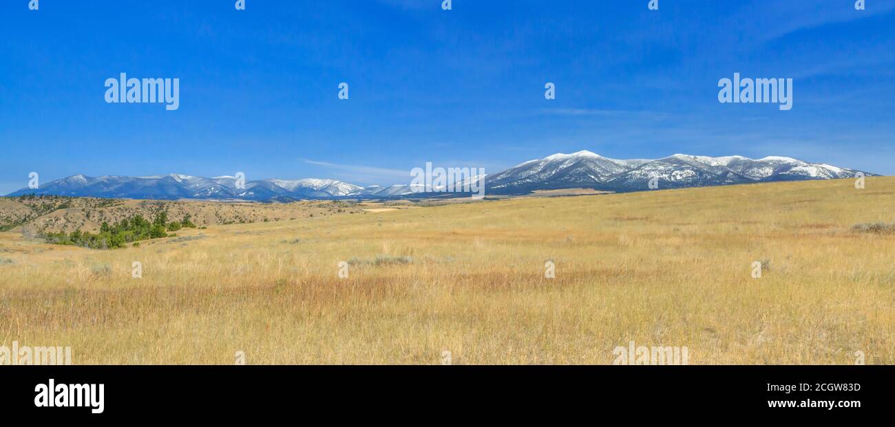 upland field and the big belt mountains near townsend, montana Stock