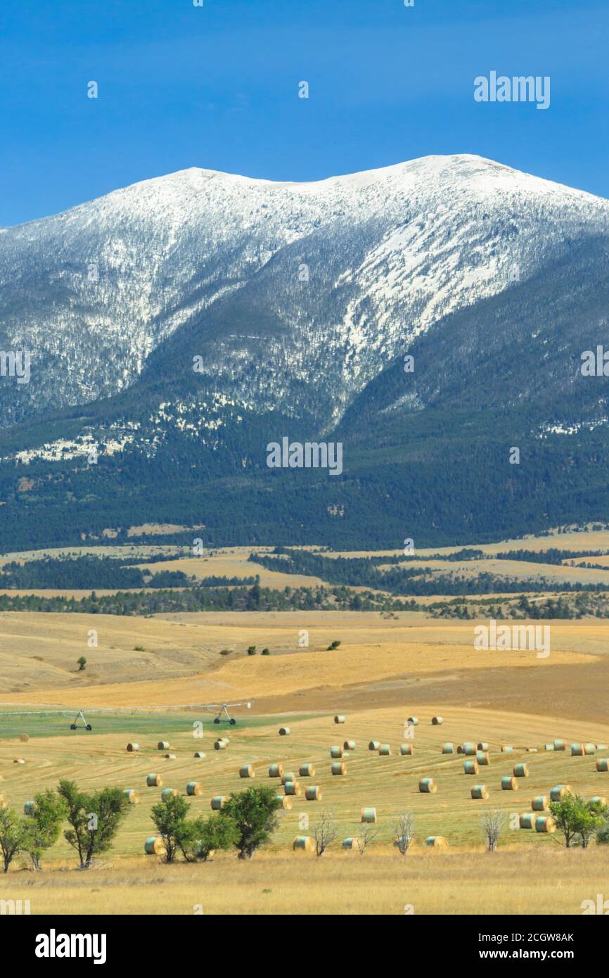hay bales below mount baldy in the big belt mountains near townsend