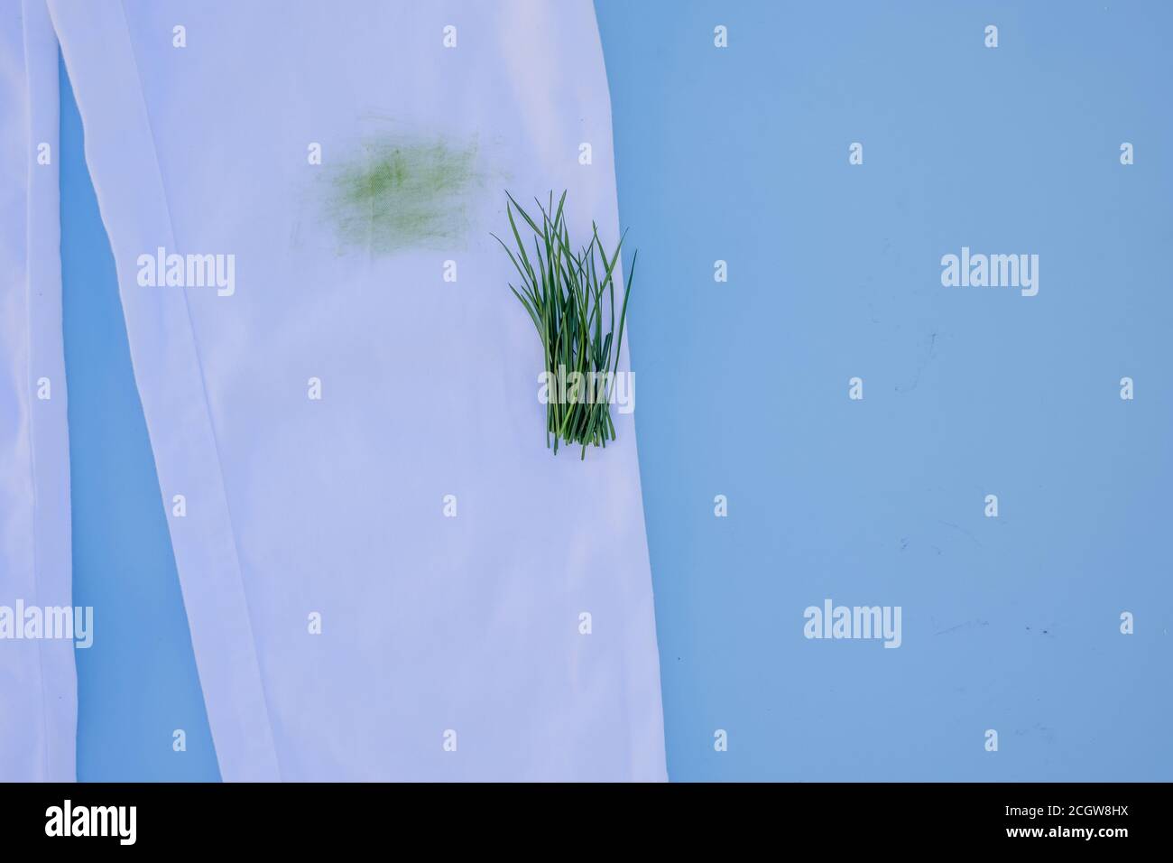 dirty grass stain on white pants.Isolated on blue background.daily life