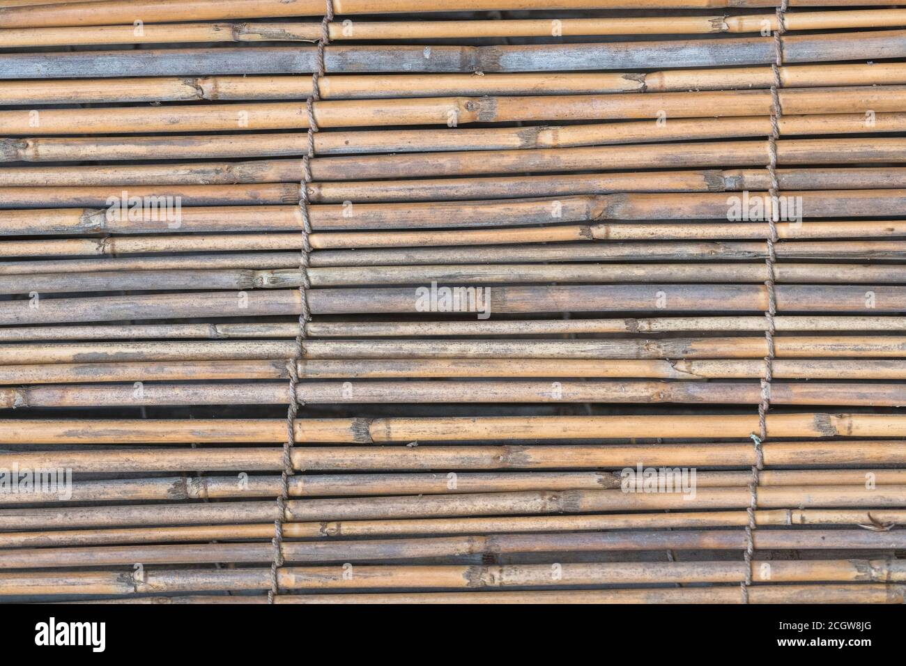Flat lying section of natural reed garden screening, showing traces of early reed decay. Nice natural texture background or metaphor for gardening. Stock Photo