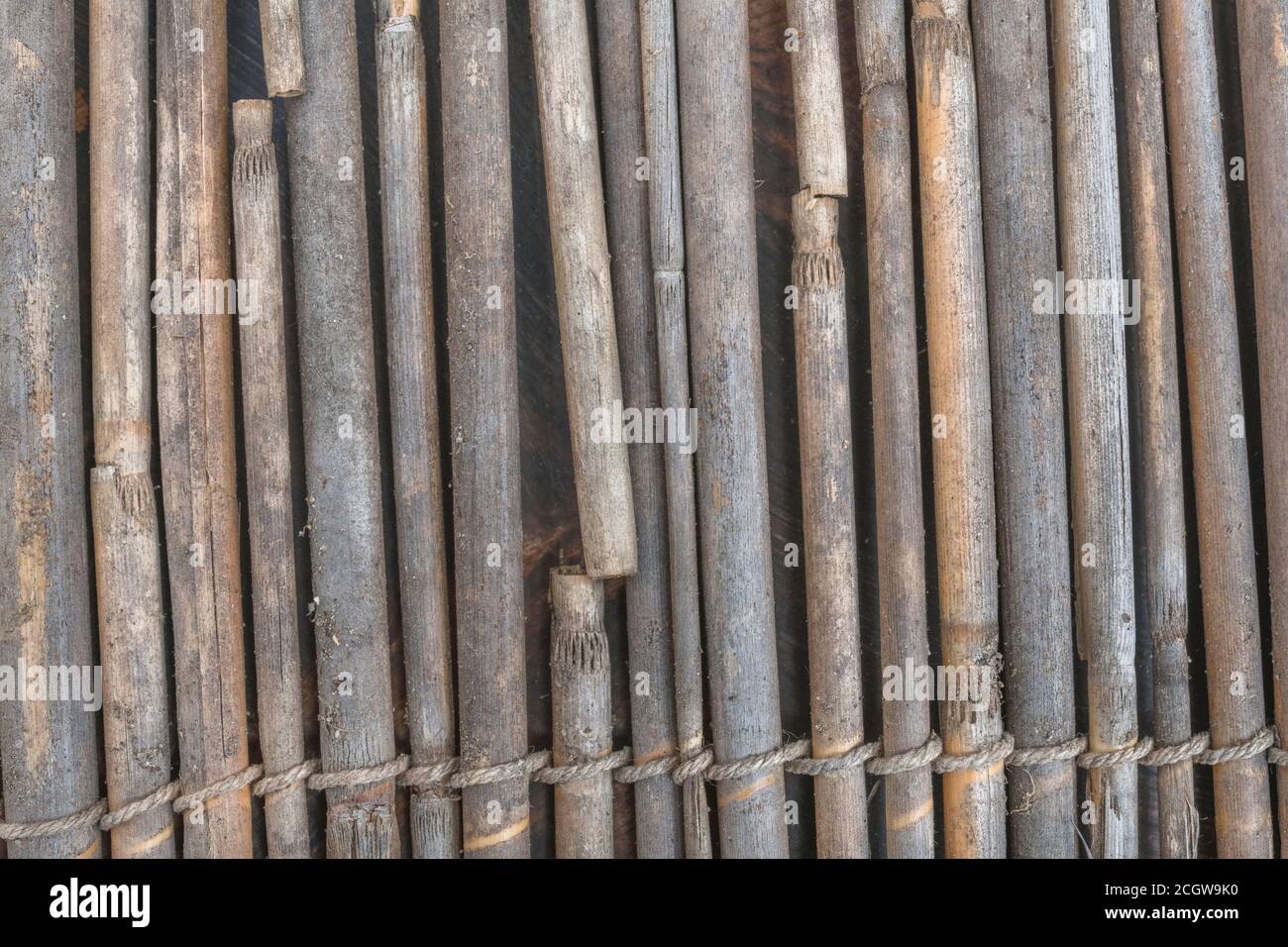 Close shot of flat section of natural reed garden screening, showing traces of reed decay. Nice natural texture background or metaphor for gardening. Stock Photo