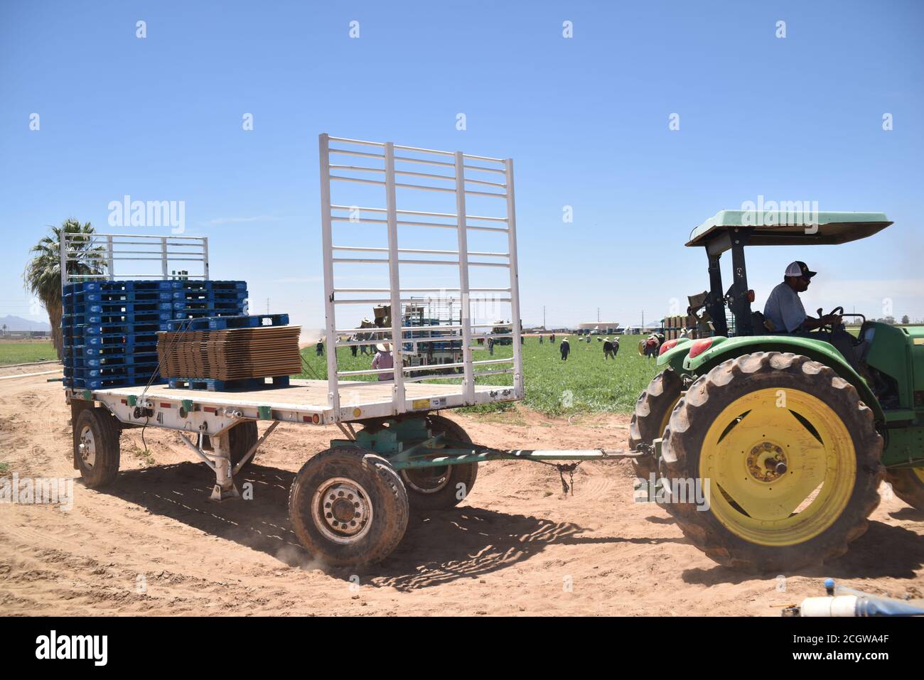 Seedless watermelons hires stock photography and images Alamy