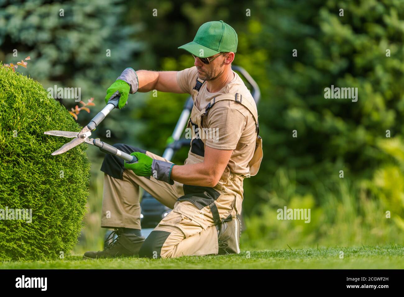Caucasian Professional Gardener in His 40s Wearing Sunglasses Trimming