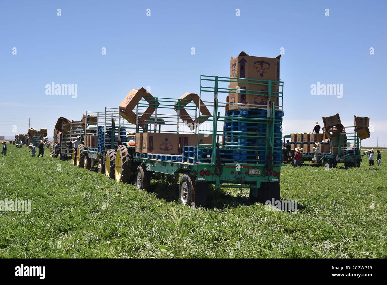 John deere 6430 hires stock photography and images Alamy
