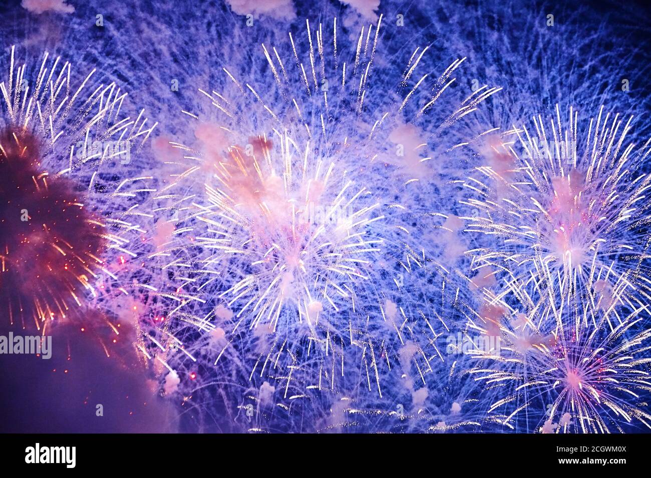 Colorful firework in a night sky Stock Photo