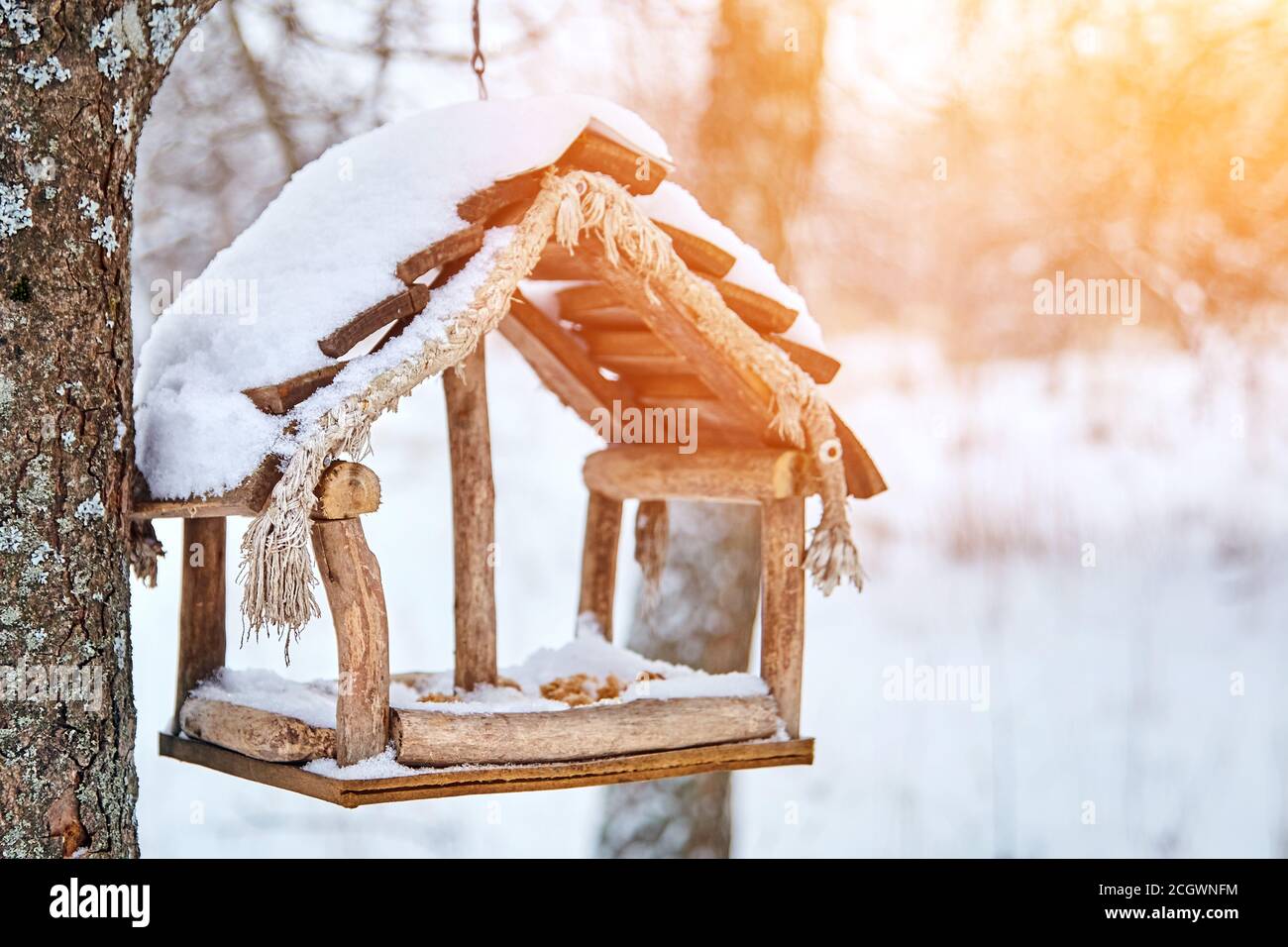 Homemade bird feeder. Helping birds in winter Stock Photo Alamy