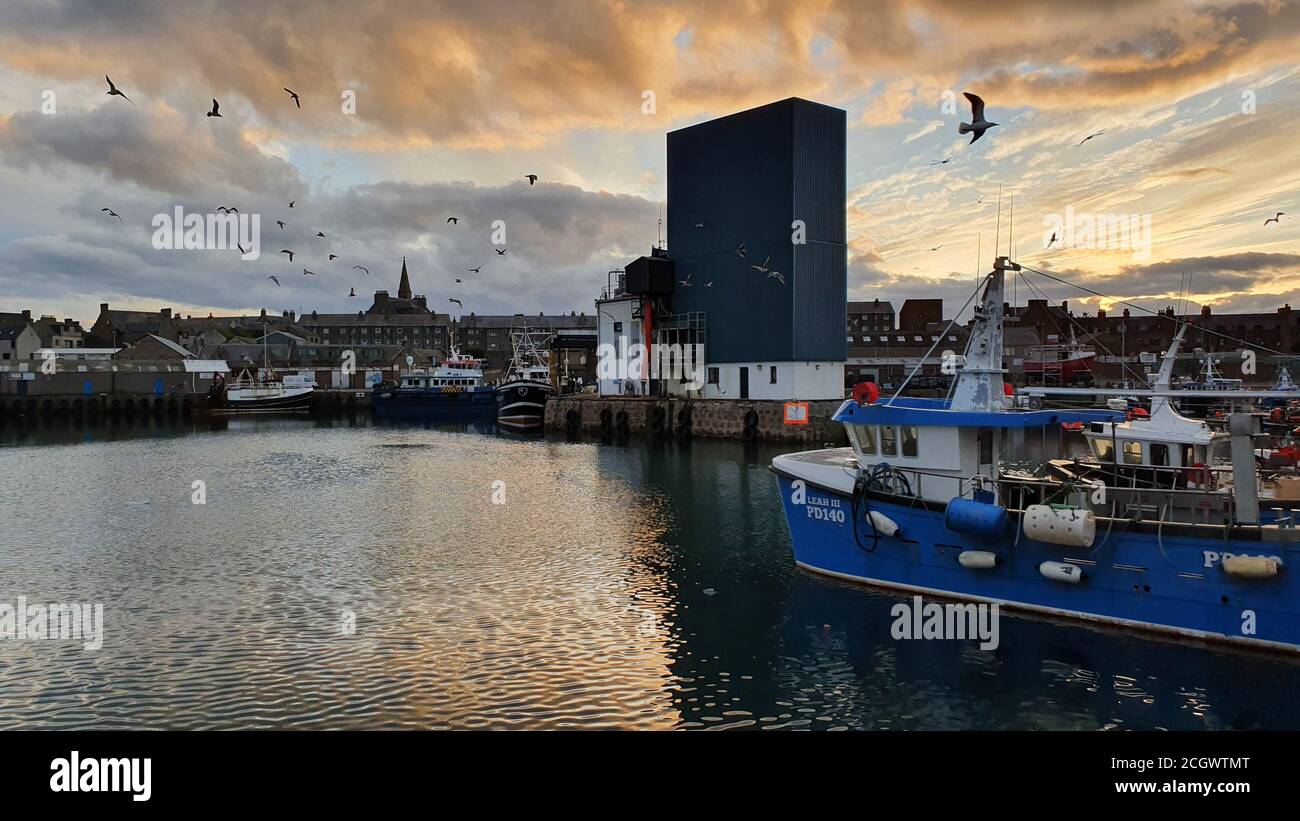 Peterhead harbour Stock Photo