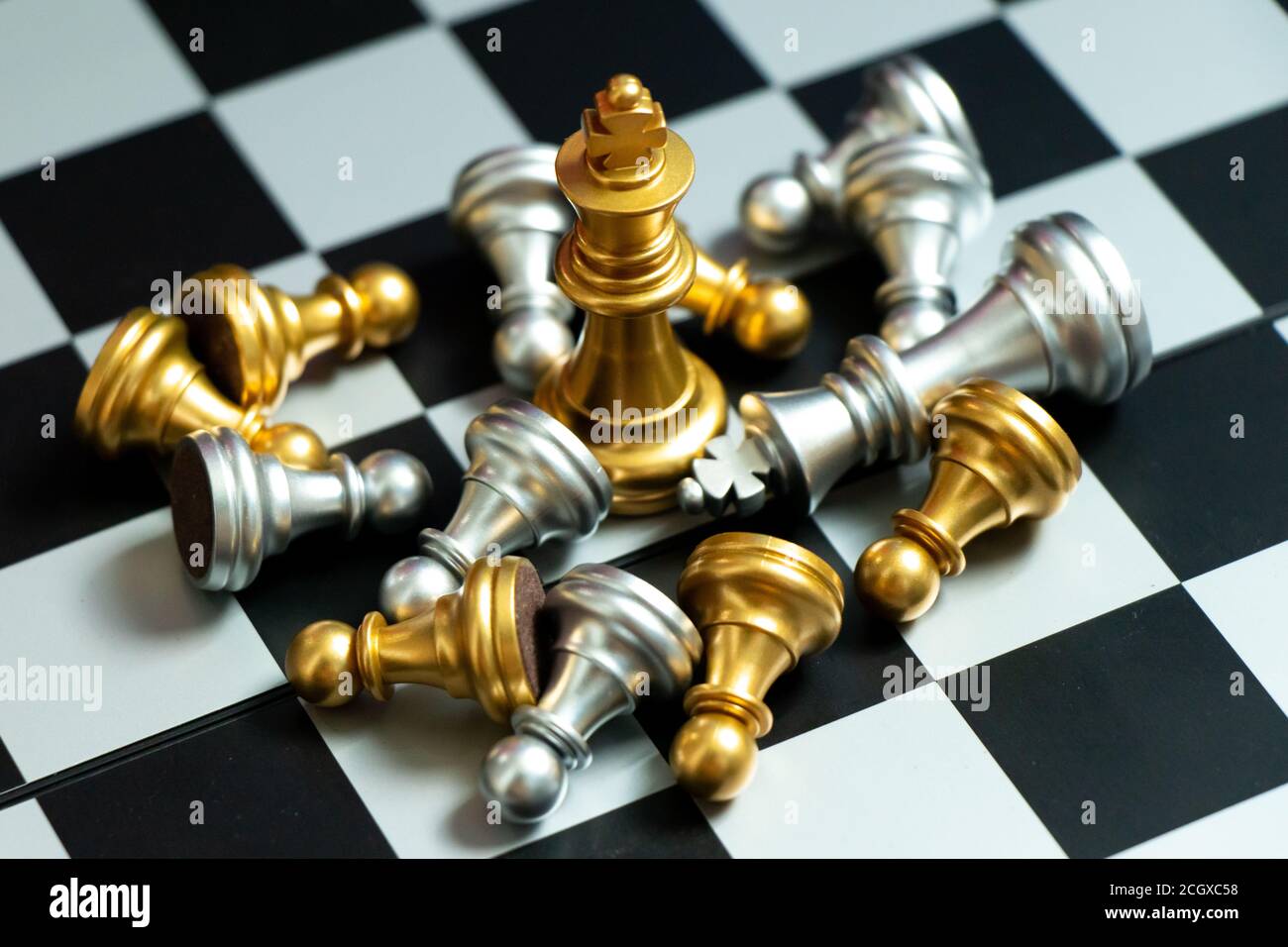 Gold king chess piece win over lying down another piece on black background Stock Photo