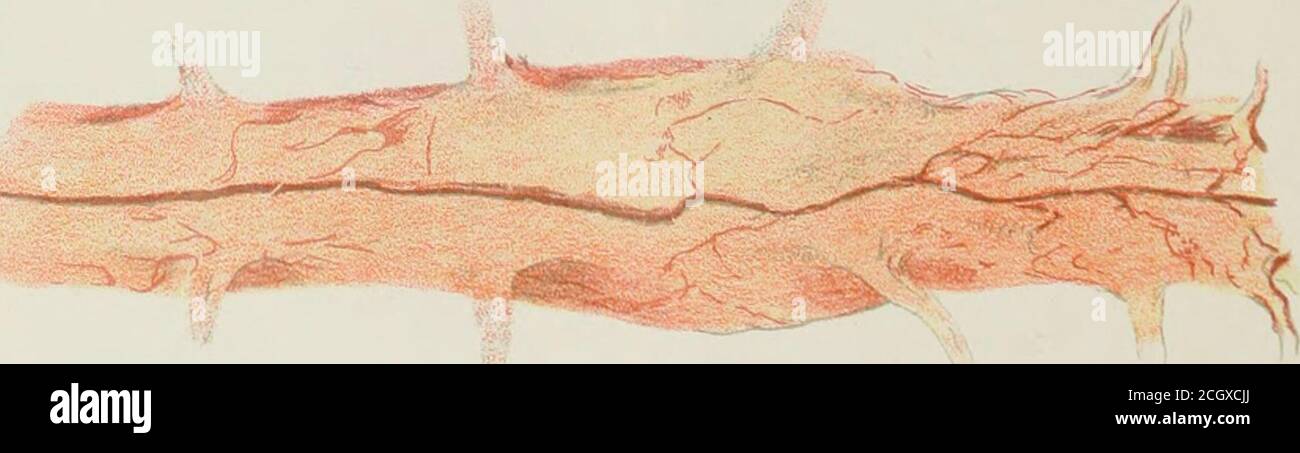A1 M High Resolution Stock Photography And Images Page 7 Alamy A1 M High Resolution Stock Photography And Images Page 7 Alamy