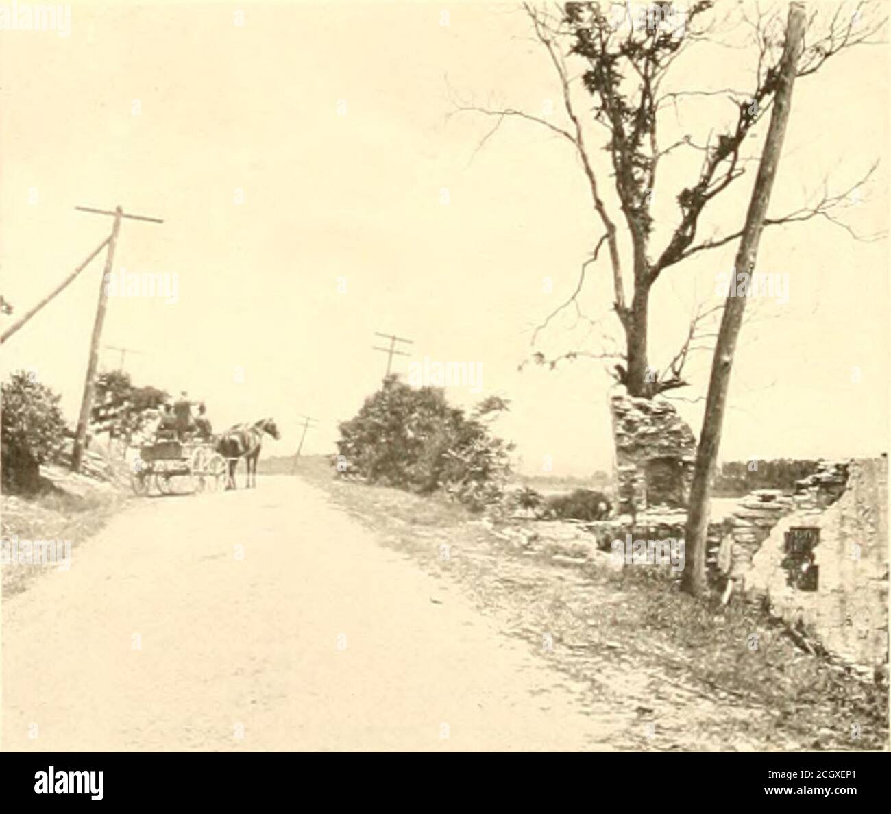 L Uck High Resolution Stock Photography And Images Alamy