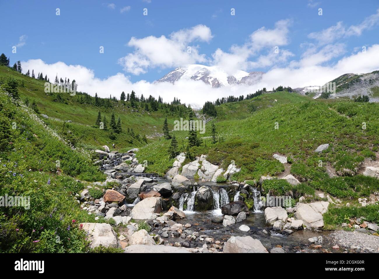 MOUNT RAINIER NATIONAL PARK WASHINGTON STATE USA visual data 7