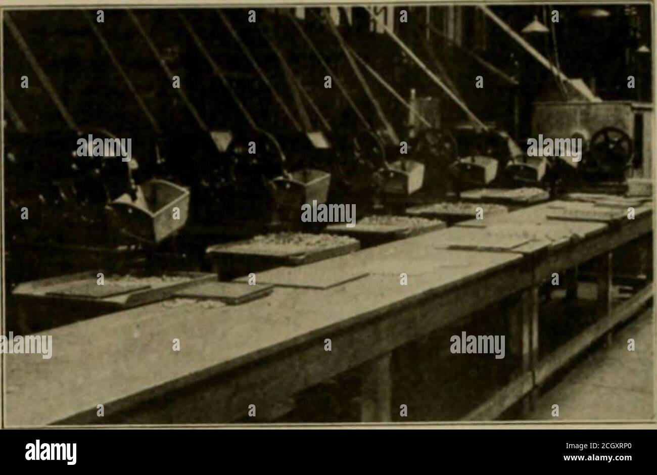 Staggered ribs hi-res stock photography and images - Alamy