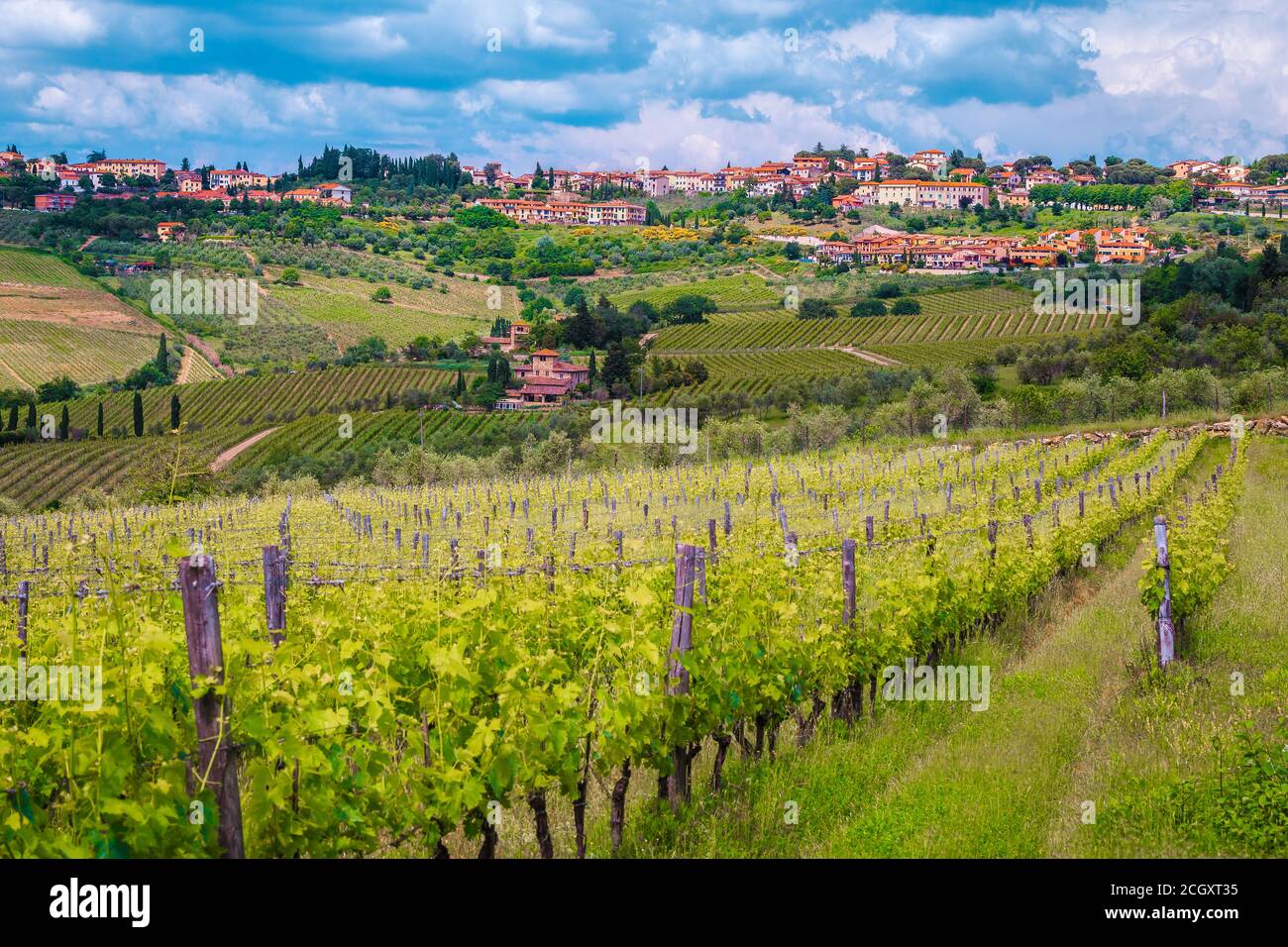 Stunning Panzano in Chianti on the hill and beautiful grape plantation. Gardens and vineyards in Tuscany, Italy, Europe Stock Photo