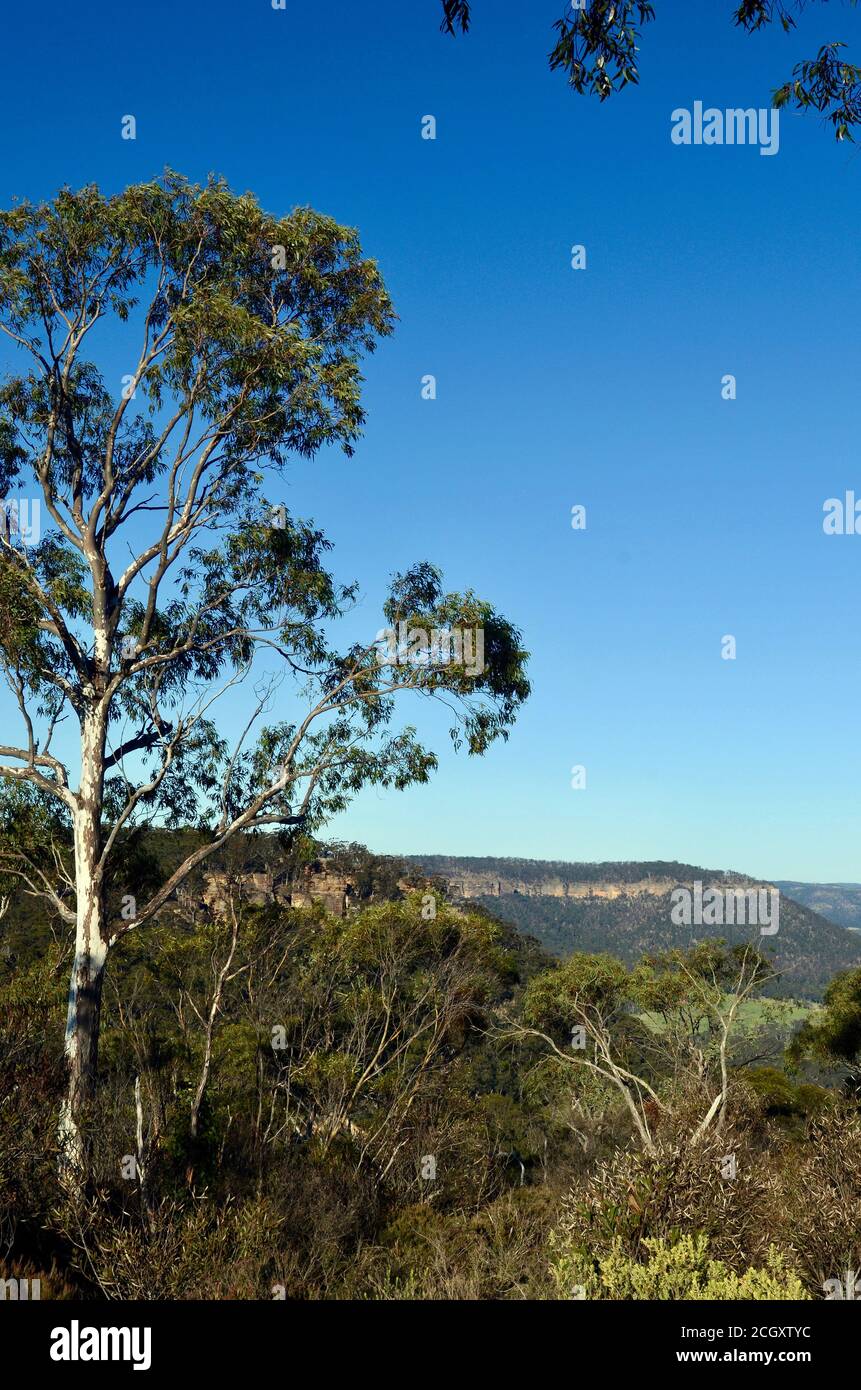 A view of countryside near Lithgow, Australia Stock Photo