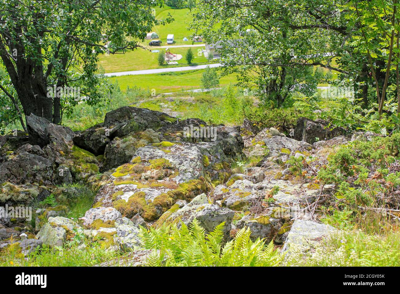 Beautiful Norwegian landscape with trees firs mountains and rocks ...