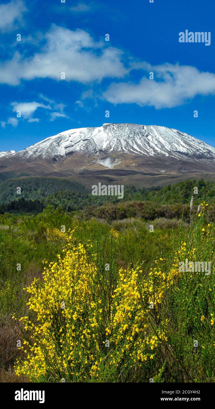 A Landscape view of a snow-capped Mount Ruapehu, part of the Tongariro Crossing in New Zealand. Stock Photo