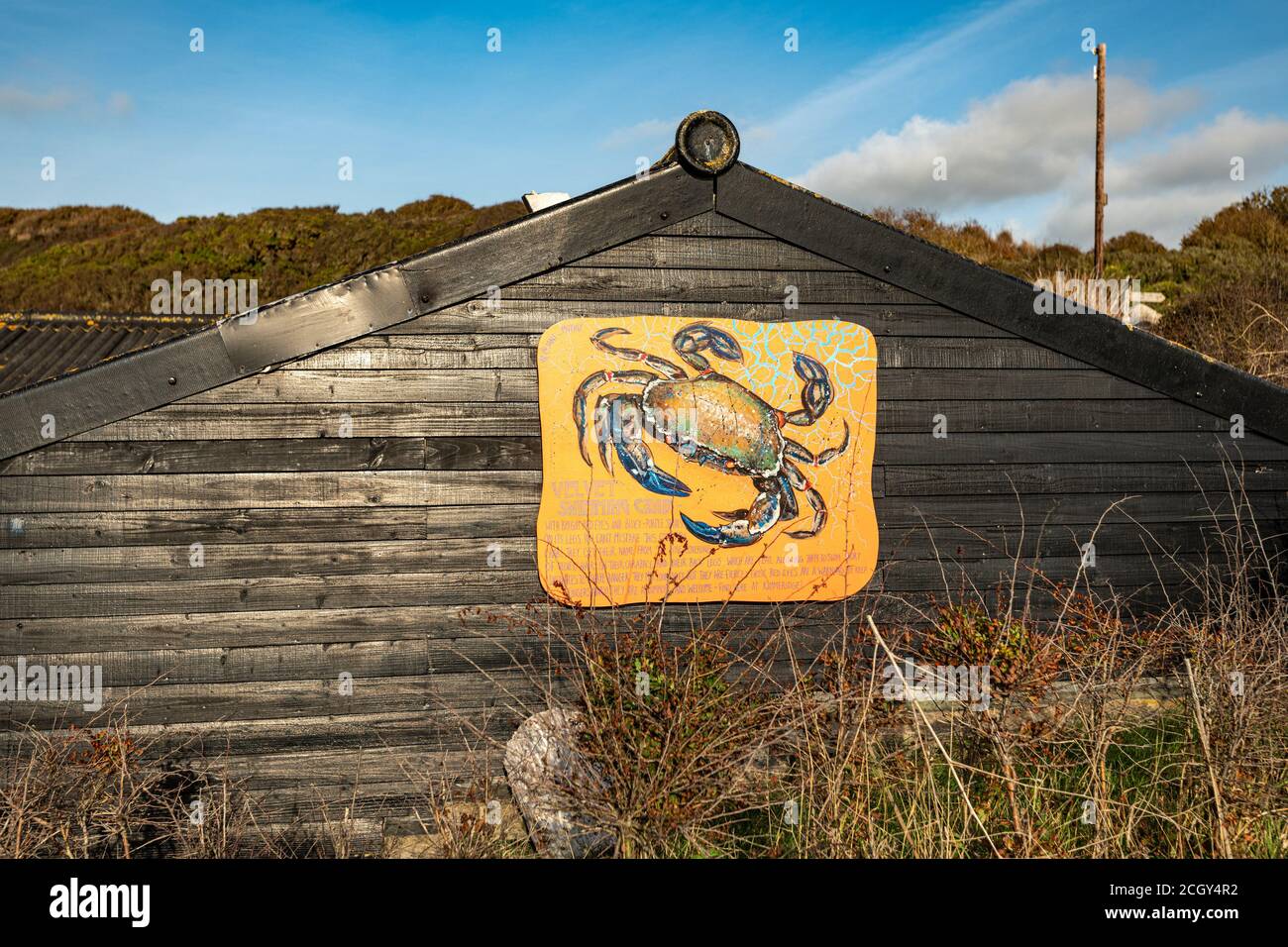 Wild Camp Uk High Resolution Stock Photography And Images Alamy
