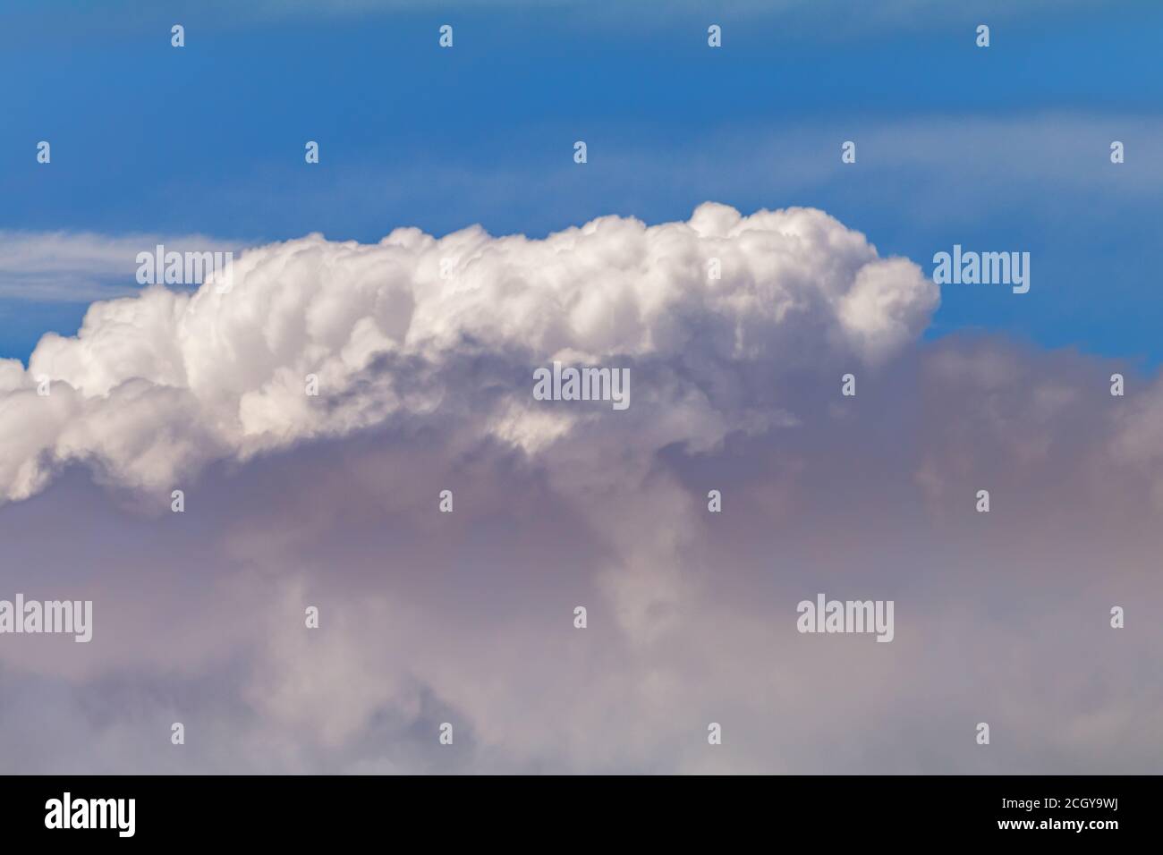 Cumulus cloud against a blue sky Stock Photo