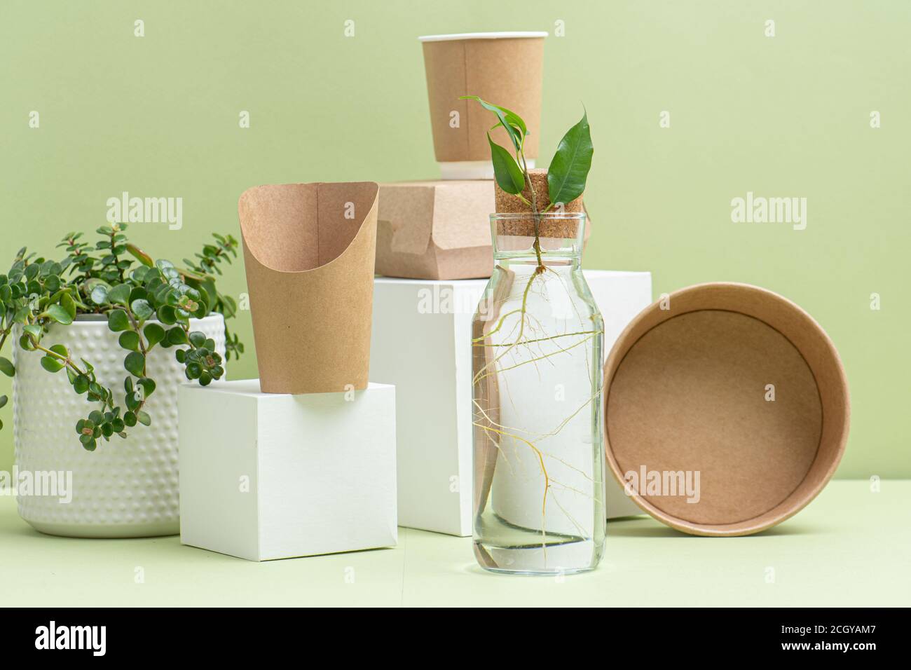 Eco-friendly disposable paper containers and live plants Stock Photo