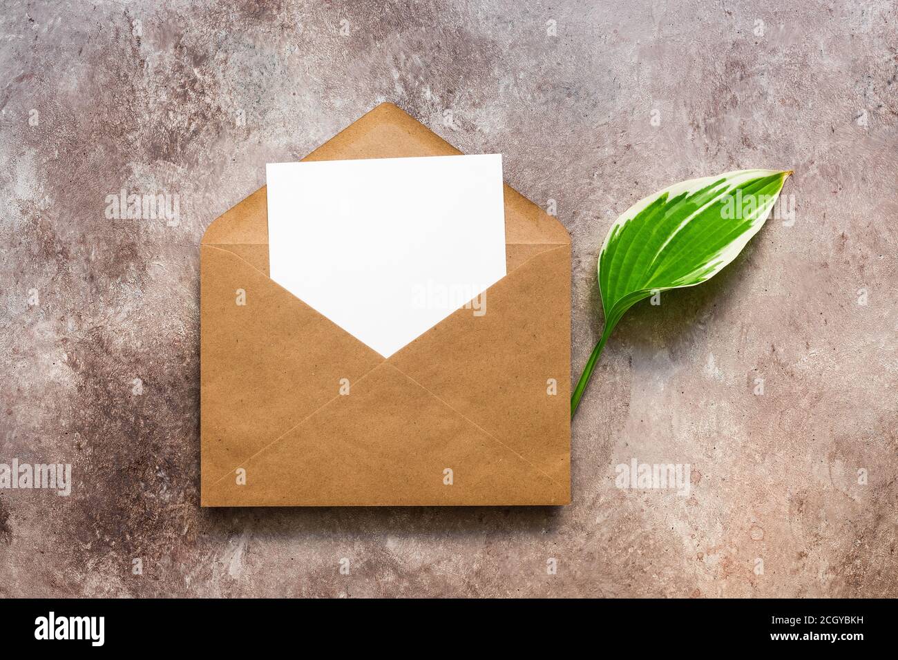 Download Green Company Business Card High Resolution Stock Photography And Images Alamy