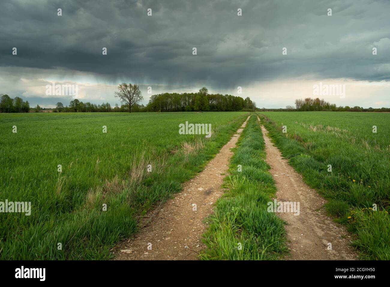 A country road in a green field and a rainy cloud Stock Photo - Alamy