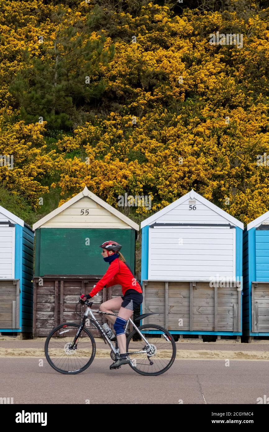 Cyclist on the promenade at Alum Chine in Bournemouth, Dorset on a crisp April morning. 27 April 2013. Photo: Neil Turner Stock Photo