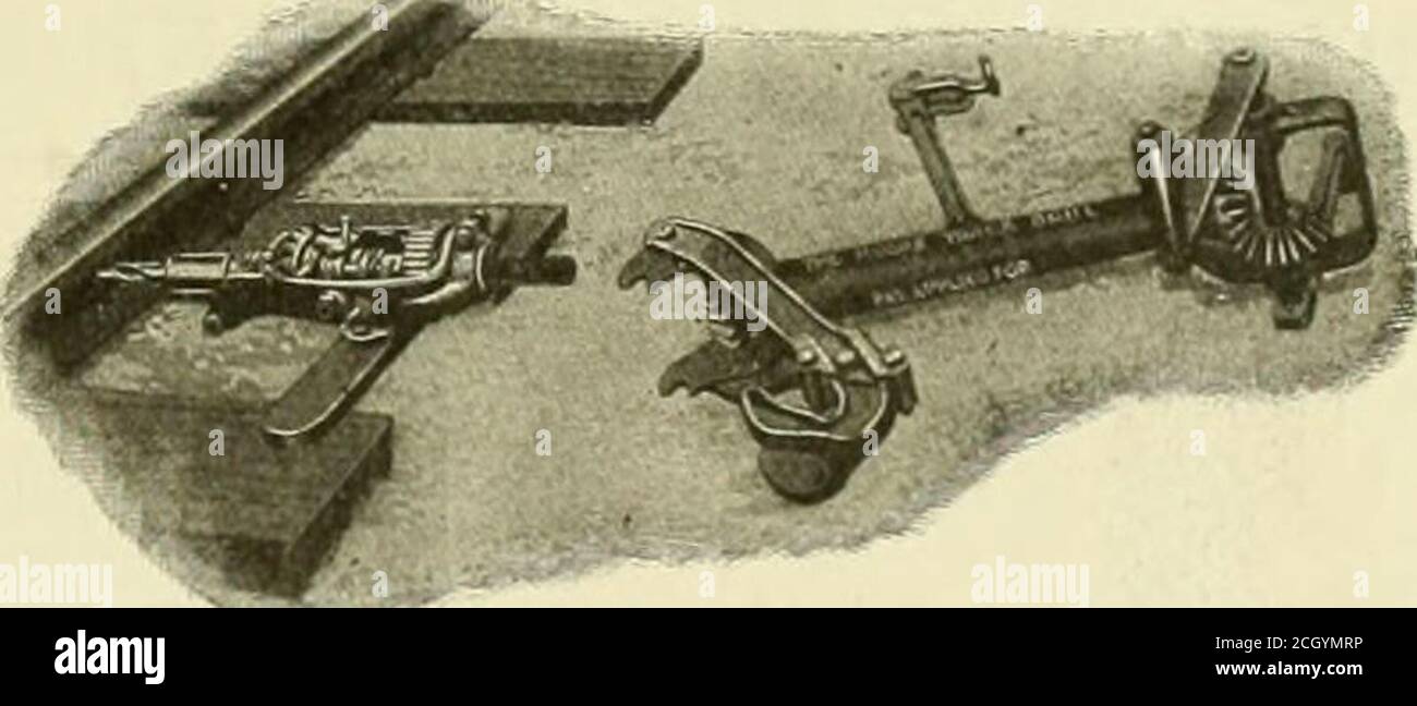 Reversed frog hires stock photography and images Alamy