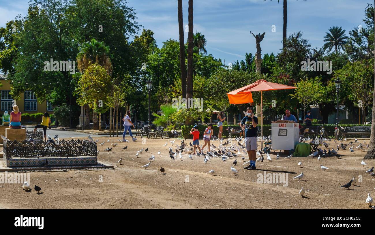 Tourists feeding the white doves. Plaza de América in the Maria Luisa Park. Stock Photo