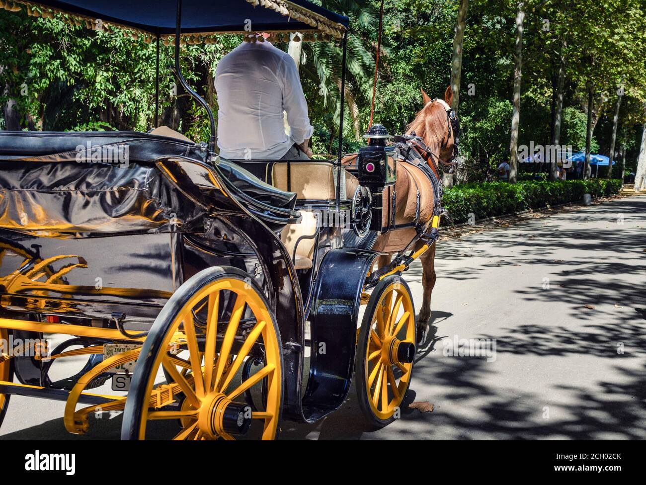 Empty horse carriage in Maria Luisa Park. Covid-19 crisis. No tourism. Stock Photo