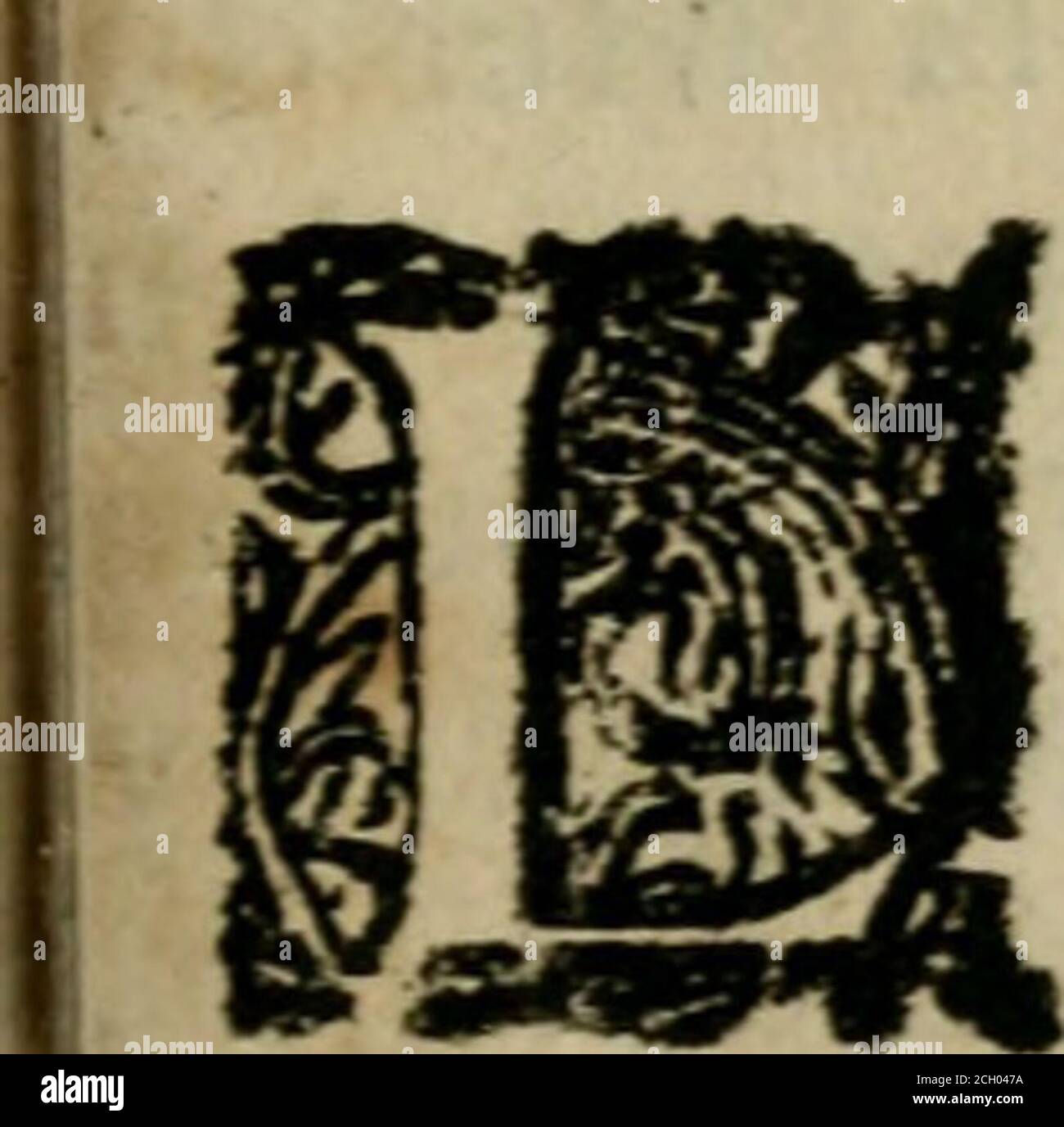 Tanc High Resolution Stock Photography And Images Alamy