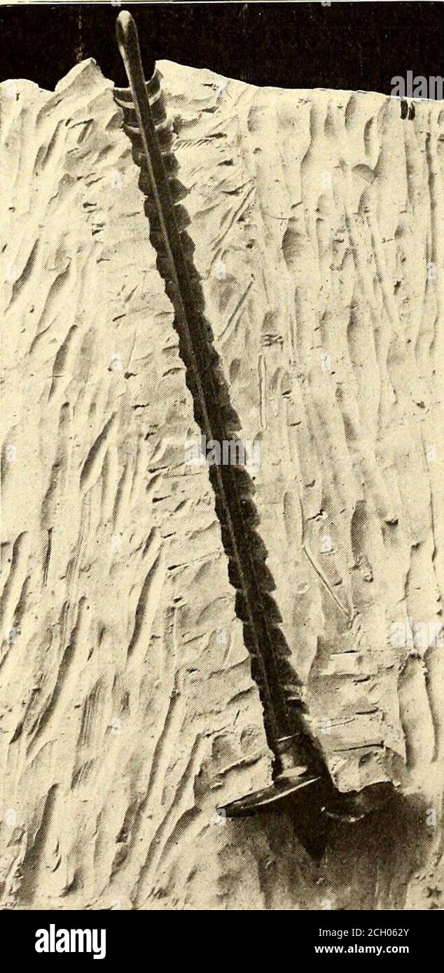 The Street railway journal . OF GUY ANCHORS Seventy-odd tests of different  sizes of Stombaugh guyanchors made by Prof. Carpenter, of Cornell  University,recently with the aid of a dynamometer established thestrain