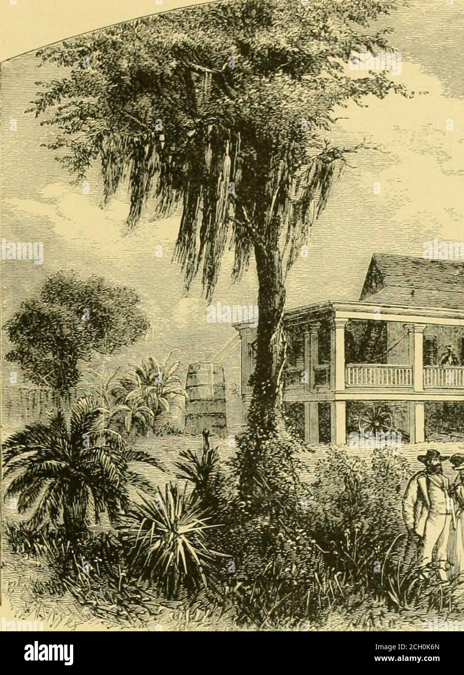 . The dream of "Ellen N" : an illustrated descriptive and historical narrative of southern travels . -. That was in 1702, and in the same vear Bierville built a fort about twenty miles up the Mobile River on the west bank. The situation was out. Stock Photo