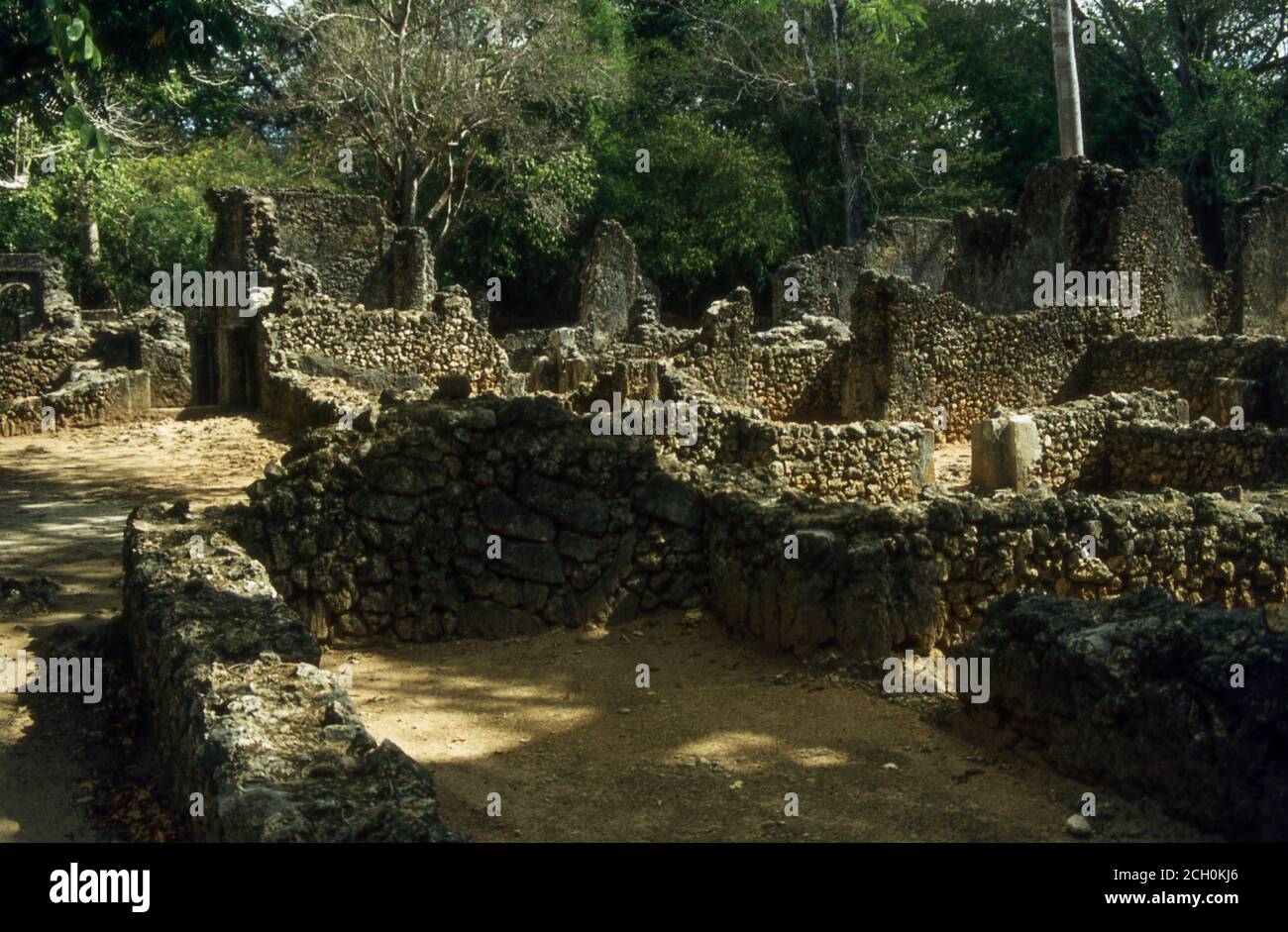 excavated ruined city in the jungle of Kenya Stock Photo - Alamy