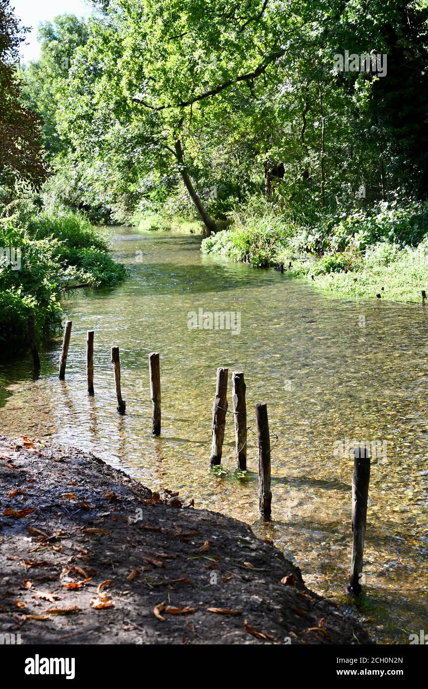 The River Cray, Foots Cray Meadows, Sidcup, Kent. UK Stock Photo