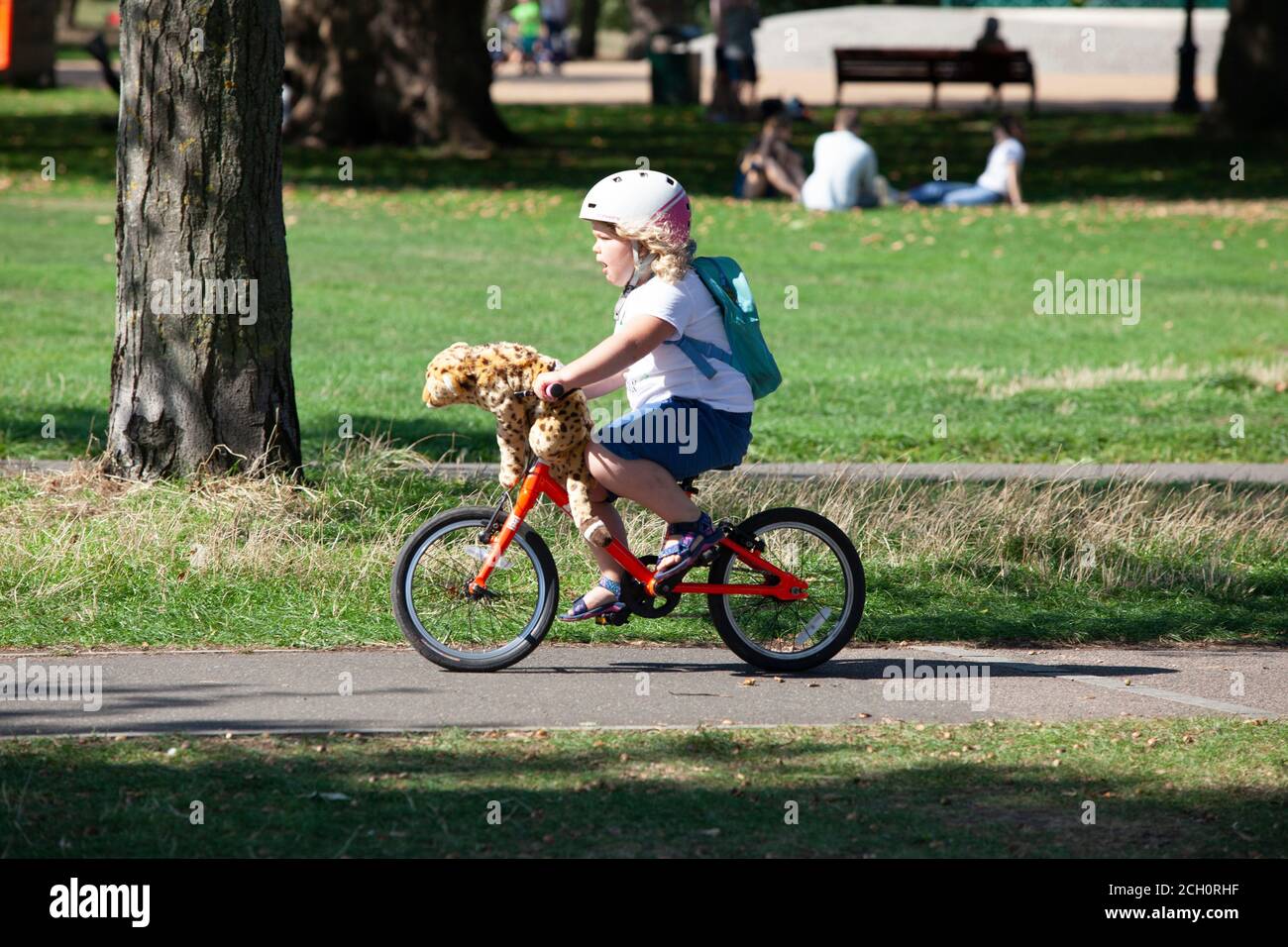 London, UK. 13 Sept 2020: Londoners took advantage of sunny weather to picnic and cycle on Clapham Common the day before social distancing rules will change. No government guildance has been issued on cycling with toy leopards. Anna Watson/Alamy Live news Stock Photo