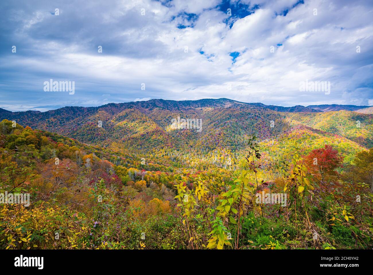 Great Smoky Mountains National Park, Tennessee, USA in autumn. Stock Photo
