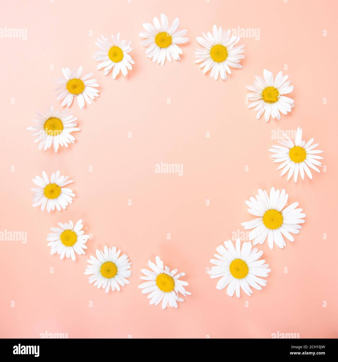 Light Color Wallpapers Flowers