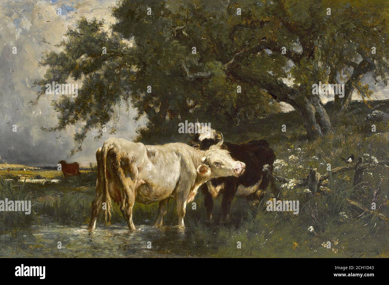 Marcke De Lummen Emile Van - Cattle Watering Under a Sheltering Tree - French School - 19th and Early 20th Century Stock Photo