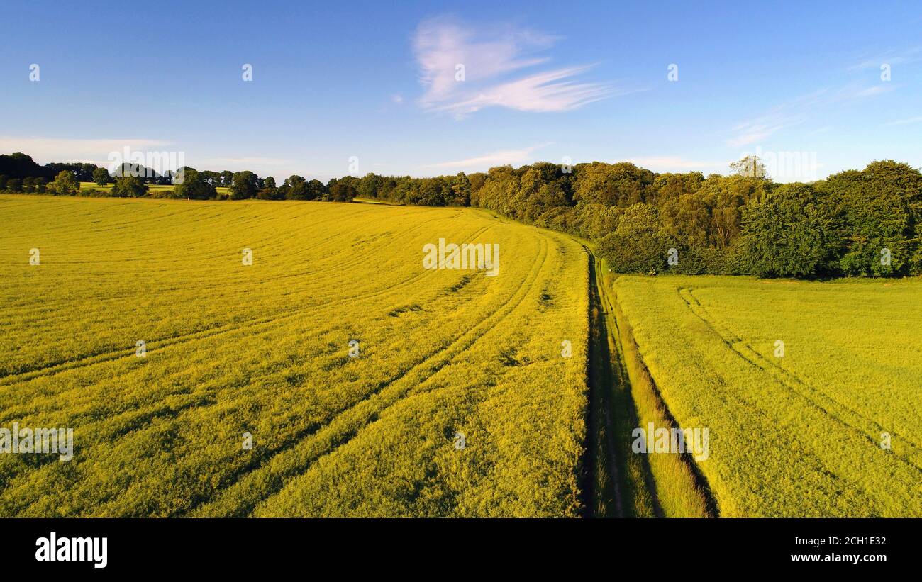 Agricultural field, Test Valley, Hampshire Stock Photo