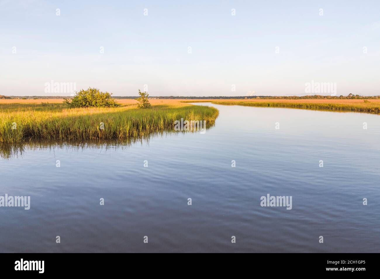 Tidewater Marsh with seagrass located in  St.Augustine, Florida USA Stock Photo