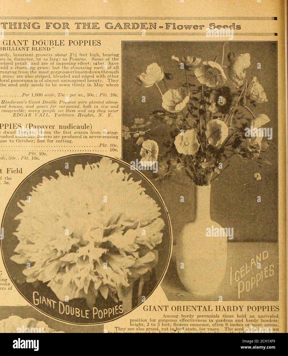 . Everything for the garden : 1920 . caule) Although hardy perennials, these dwarf Poppies bloom the first season from spring-sown seed. The fragrant, elegant, crushed satin-like flowers are produced in never-ceasingsuccession from the beginning of June to October; fine for cutting. 3472 Scarlet Pkt. 10c. 3474 White 10c. 347G Yellow Pkl. 10c. 34S0 Mixed Colors Per 1,00 Ic ; Pkt. 10c. POPPY, English Scarlet Field 3465 The famous Scarlet Poppy of theEnglish fields. Per oz., 25c Pkt. 5c. POPPY, Glaucum 3407 (The Scarlet Tulip Poppy.)Beautiful large tulip-shaped flowersof brilliant scarlet. 1 foot Stock Photo