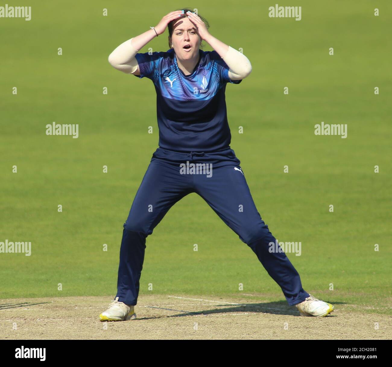 cricket-head-in-hands-hi-res-stock-photography-and-images-alamy