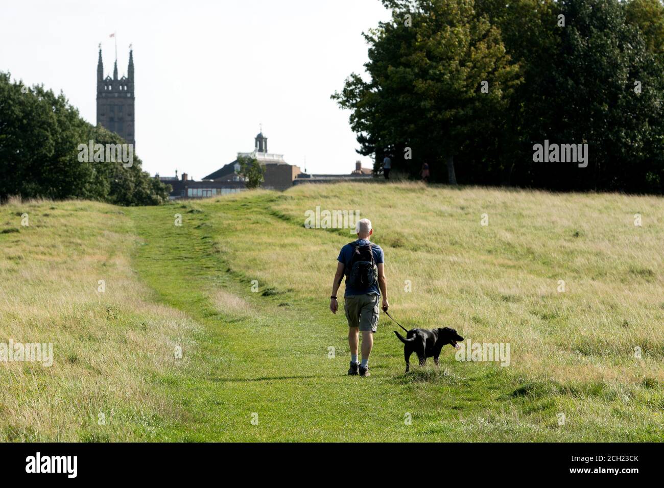 A person walking a dog on the Lammas Field during the 2020 Covid-19 pandemic, Warwick, Warwickshire, England, UK Stock Photo