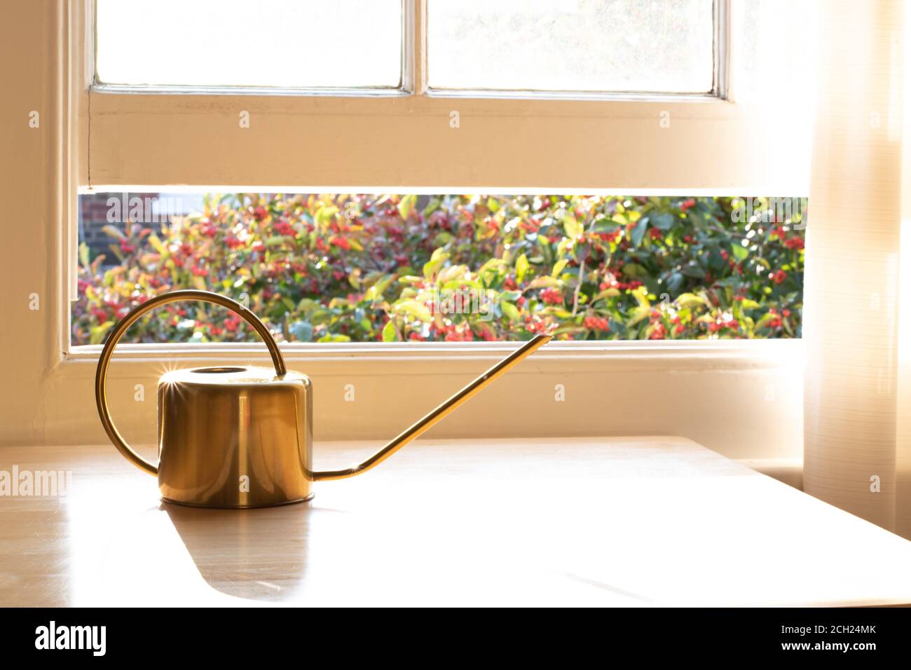 A fancy indoor watering can for plants in a beautifully designed home or apartment interior. Stock Photo