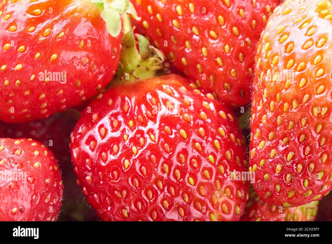 Natural background of red strawberries. Food texture Stock Photo - Alamy