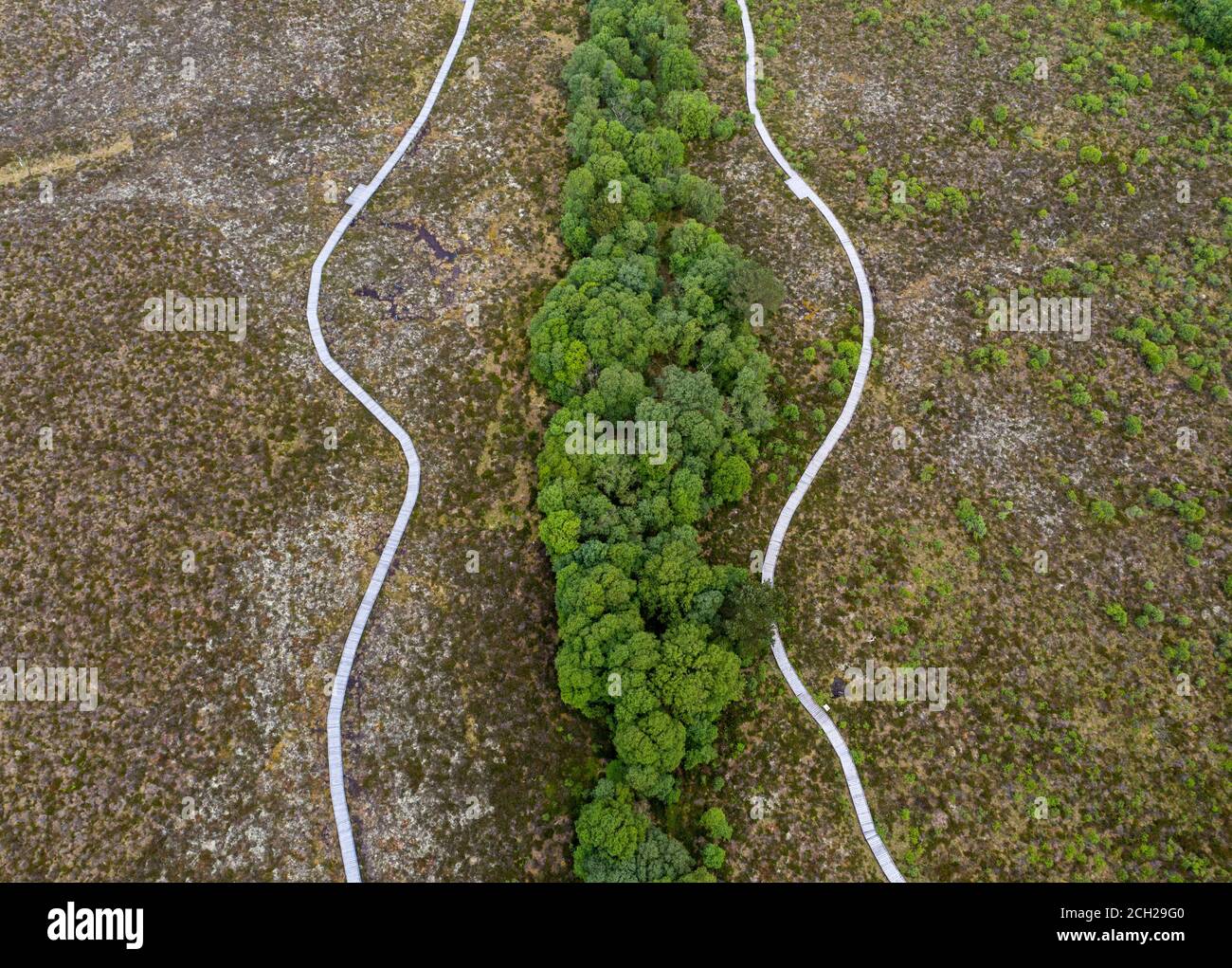 Aerial view of Red Moss nature reserve, Balerno, Midlothian. Stock Photo